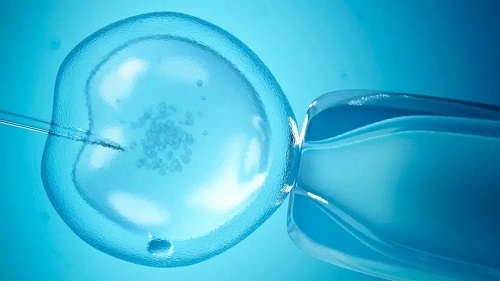 试管婴儿移植后一周胚胎着床了吗？有什么反应？