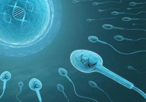 试管婴儿移植前需要准备什么？