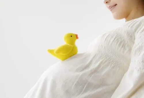 试管婴儿：平衡异位三代胚胎检测概率多少？