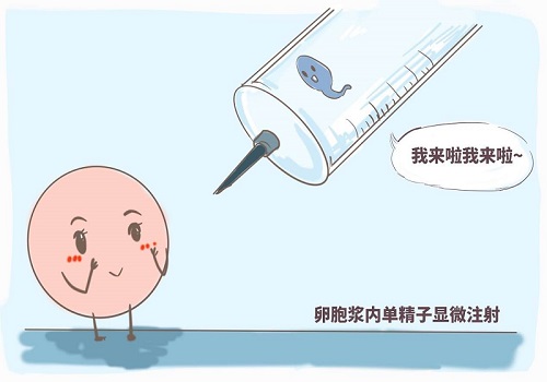 详细试管婴儿中保证您孩子健康的PGS／PGD(可孩)