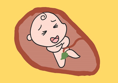 试管婴儿女人要承受多少痛苦？子宫异常会不会影响做试管？