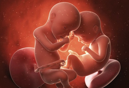 试管婴儿胚胎级别怎么看？移植有什么要求？