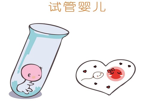 试管婴儿要多少钱能成功怀孕