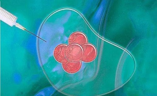 试管婴儿移植后来月经了是什么情况？