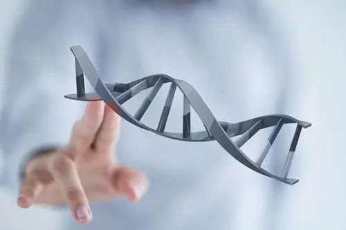 试管婴儿第三代价格多少钱
