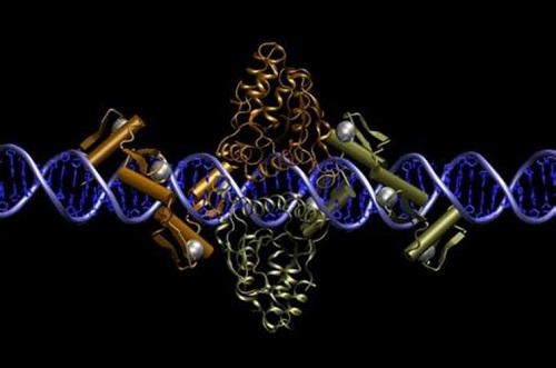 赴泰试管生二胎,一次好孕成就家庭“好”字