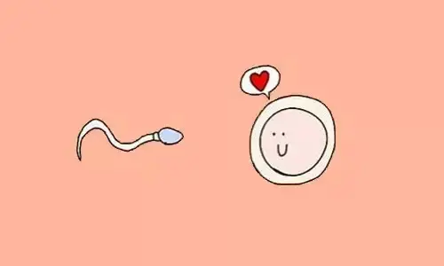 试管婴儿胚胎移植后不着床的原因有哪些？