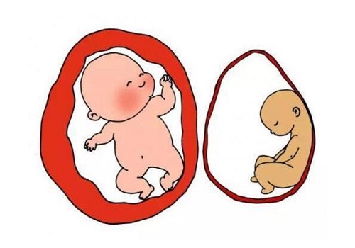 试管婴儿技术如何降低胎停育几率？