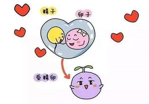 卵巢囊肿会影响到泰国试管成功率吗