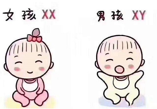 或试管婴儿能选择吗